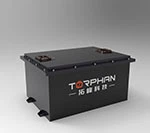 Carrinho de golfe de bateria de 48V de lítio com freio de...